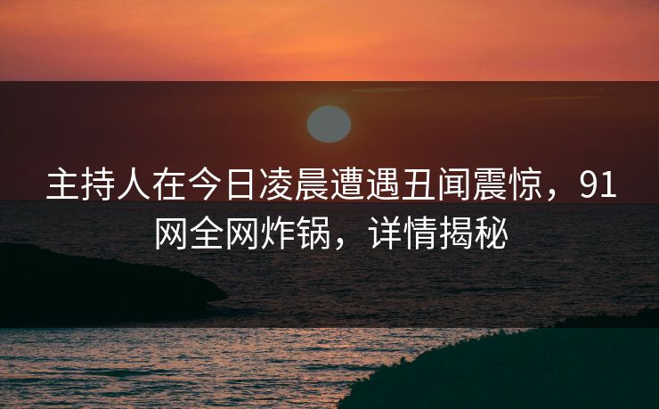 主持人在今日凌晨遭遇丑闻震惊，91网全网炸锅，详情揭秘