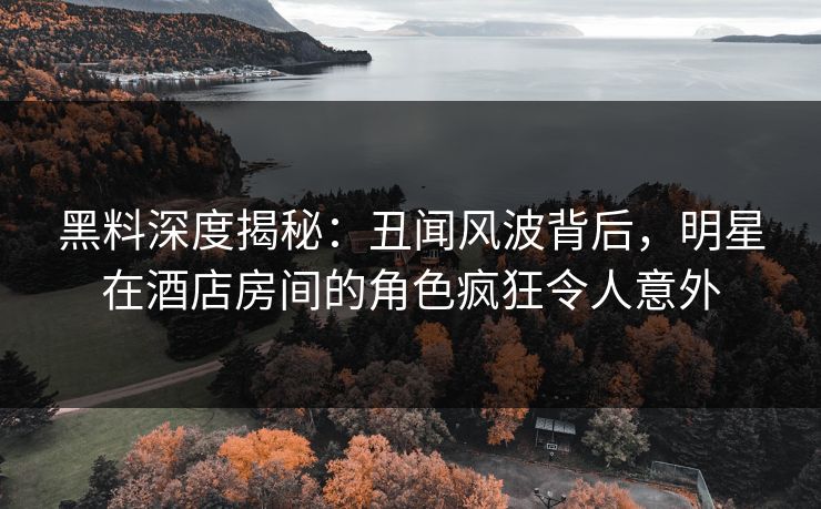 黑料深度揭秘：丑闻风波背后，明星在酒店房间的角色疯狂令人意外