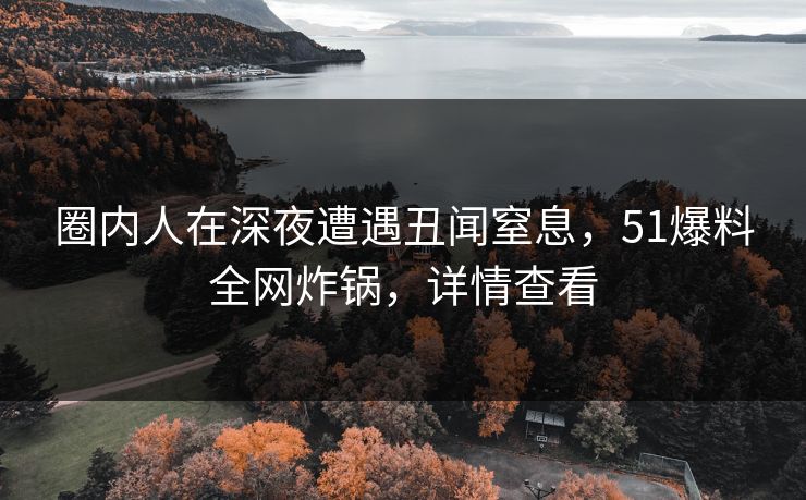 圈内人在深夜遭遇丑闻窒息，51爆料全网炸锅，详情查看