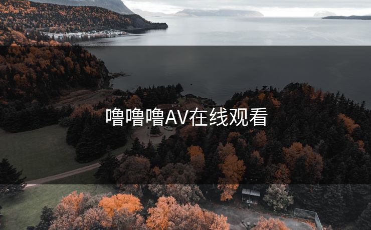 噜噜噜AV在线观看