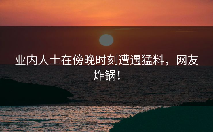 业内人士在傍晚时刻遭遇猛料，网友炸锅！