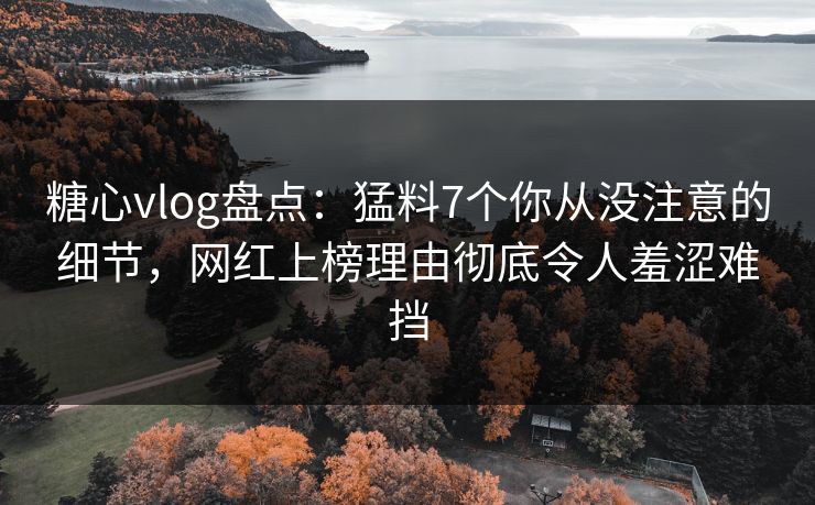 糖心vlog盘点：猛料7个你从没注意的细节，网红上榜理由彻底令人羞涩难挡