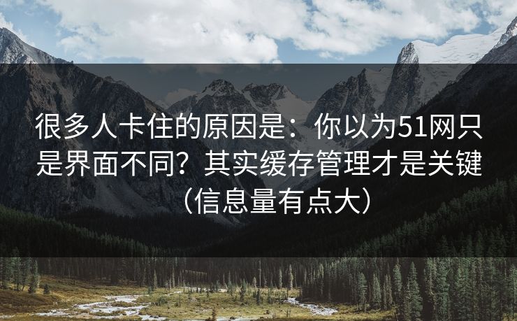 很多人卡住的原因是：你以为51网只是界面不同？其实缓存管理才是关键（信息量有点大）