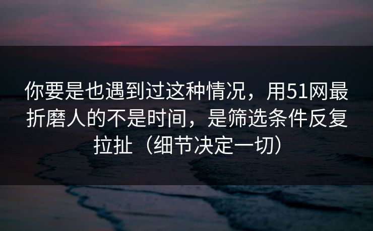 你要是也遇到过这种情况，用51网最折磨人的不是时间，是筛选条件反复拉扯（细节决定一切）